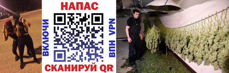 Названия наркотиков Лодейное Поле Cocaine  A-PVP  Конопля  МЕФ 